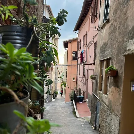 Torretta In Centro *